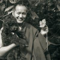 Lama with Bobik, Melbourne, 1974
