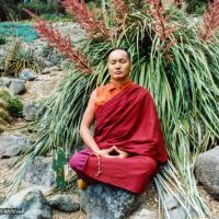 Lama meditating, California, 1974