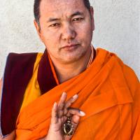 Portraits of Lama, 1977