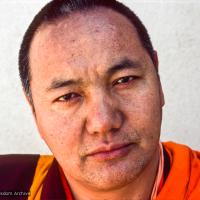 Portraits of Lama, 1977