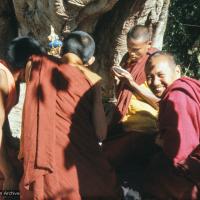 Lama painting Tara, 1976