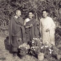 Portrait of the Lamas, 1971