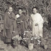 Portrait of the Lamas, 1971