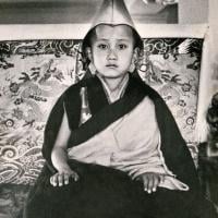 Enthronement of Yangsi Rinpoche, 1975