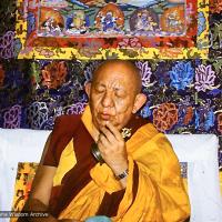 Tsenshab Serkong Rinpoche, Tushita, 1982