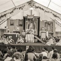 ILTK, 1982