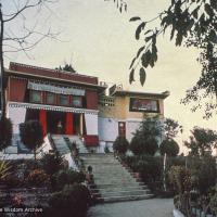 Kopan, 1977