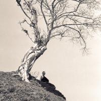 Anila Ann under a tree, 1972