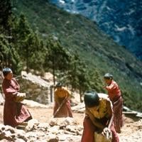 MEC novice monks, Lawudo, 1973