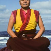 Lama at the Ocean, 1983