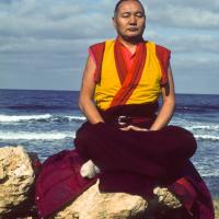 Lama at the Ocean, 1983