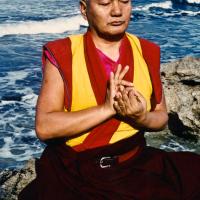 Lama at the Ocean, 1983