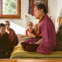 Lama at ILTK, 1983