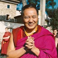 Lama at ILTK, 1983