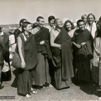 The lamas arriving at Maroochydore airport, 1974