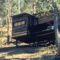 The lama's cabin at Diamond Valley, 1974