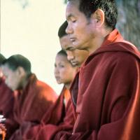 Lama and Rinpoche meditating with MEC students, 1974
