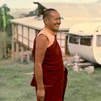Lama at CI, 1975