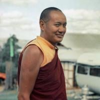 Lama at CI, 1975