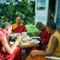 Lamas having lunch, 1975