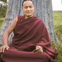 Portrait of Lama Yeshe, 1975