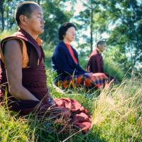 Lama, Beatrice and Rinpoche, 1975