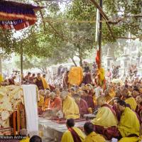 His Holiness, Bodhgaya, 1982