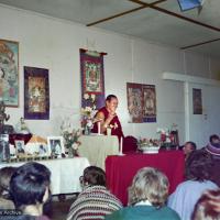 Lama at Olinda, 1976