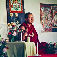 Lama at Olinda, 1976