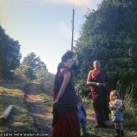 Lama in the Dandenong Ranges, 1976