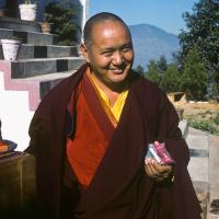 Lama, Kopan, 1977