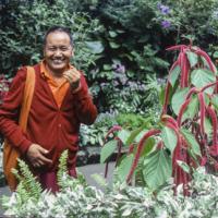 Lama in Vancouver, 1978