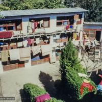 Norbulingka, 1978