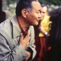 Lama, ILTK, 1982