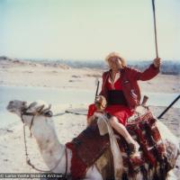 Lama on a camel, 1983