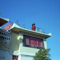 Lama on the rooftop at Kopan,1979