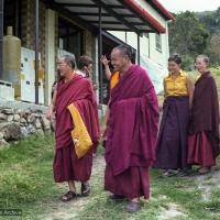 Lama at CI, 1979