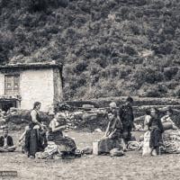 The lamas arrive at Lukla, 1973