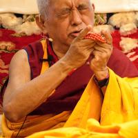 Rinpoche at Maitripa College
