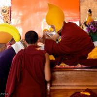 Long Life Puja for Rinpoche, 2010