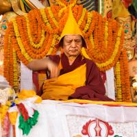Long Life Puja for Rinpoche, 2010