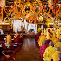 Long Life Puja for Rinpoche, 2010