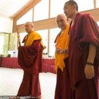 Light of the Path 2014