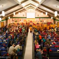 Light of the Path 2014