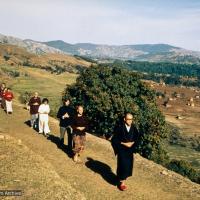 Zengo leading walking meditation, 1971