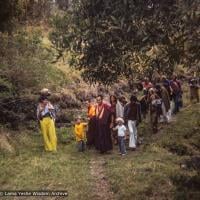 Walking from Diamond Valley to Eudlo land