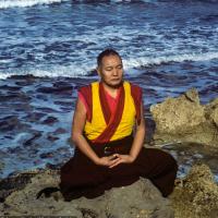 Lama by the ocean, Sicily, 1983
