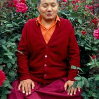 Lama in Vancouver, 1978