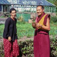 Manjushri garden, Zia, Lama, 1978