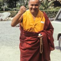 Lama, Zurich, 1978